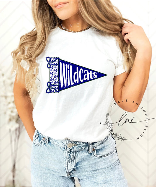 Wildcats Pennant