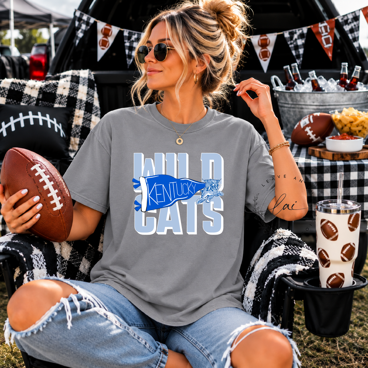 Wildcats Pennant-Light Blue