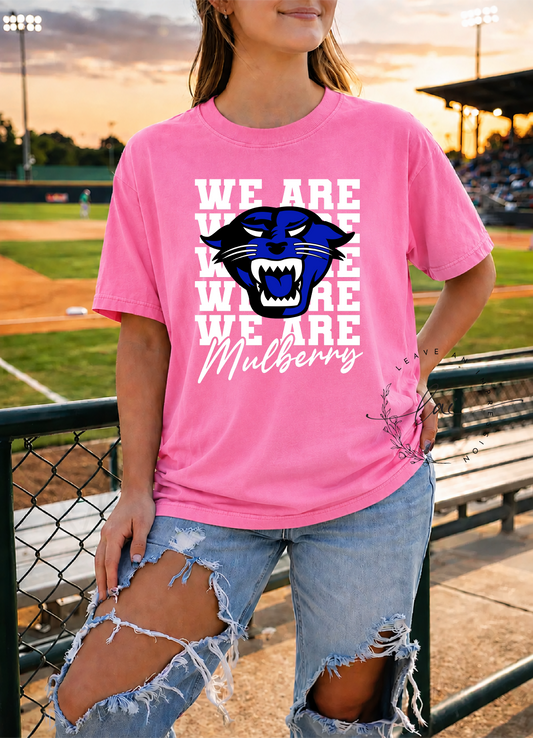 We Are Mulberry- Lady Panther Softball