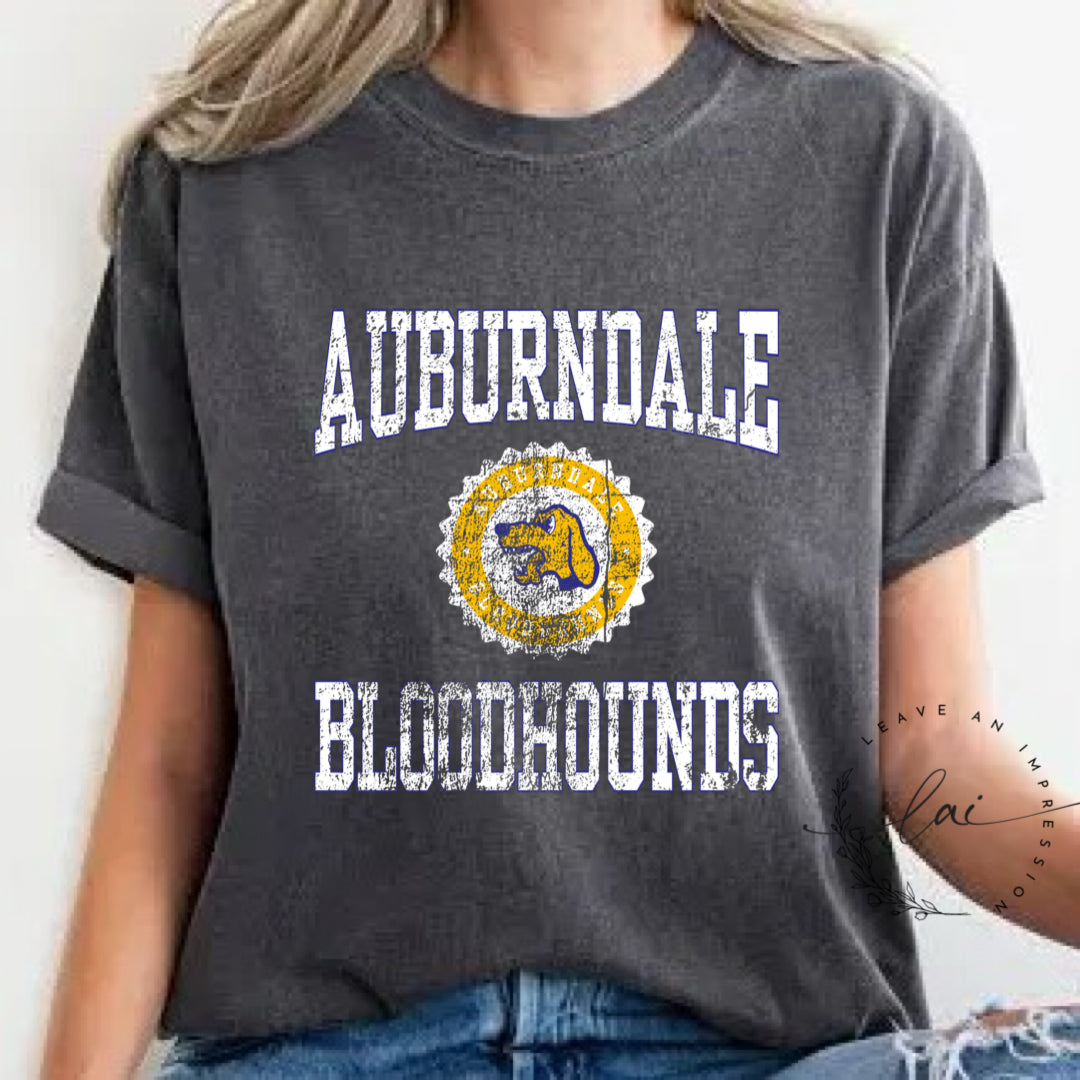 School Spirit Vintage Collection