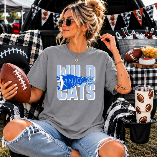 Wildcats Pennant-Light Blue