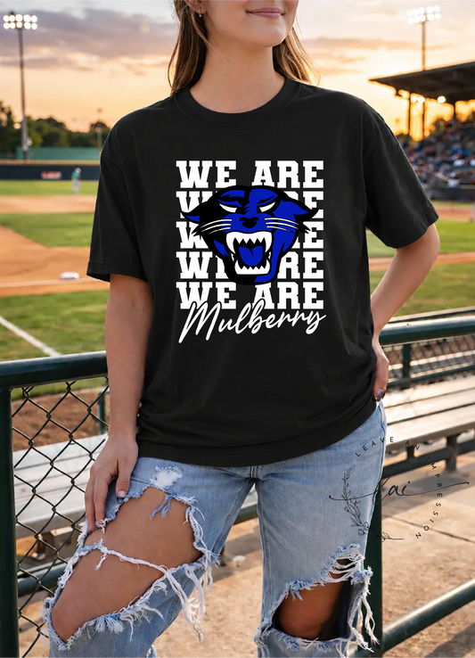 We Are Mulberry- Lady Panther Softball