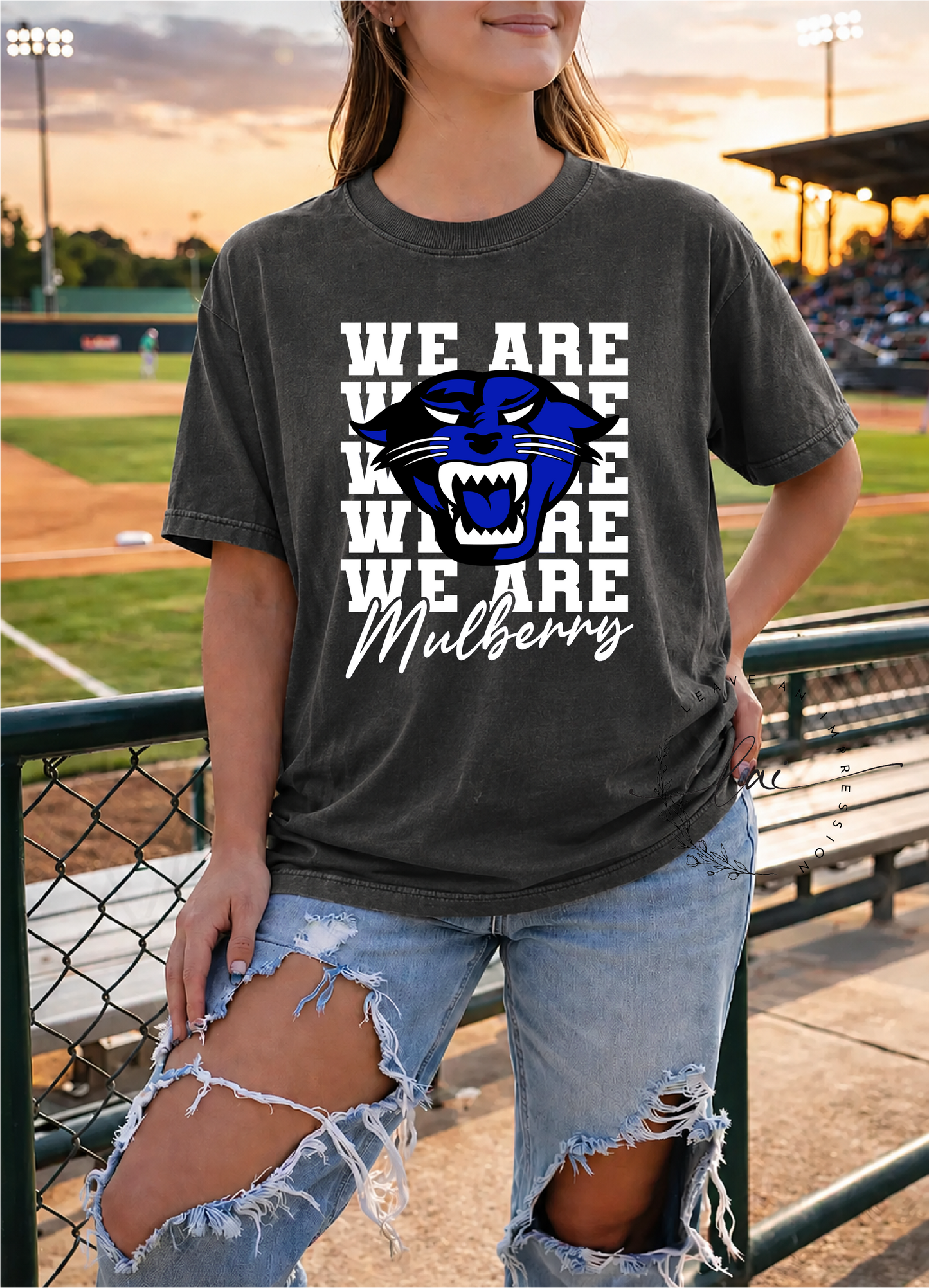 We Are Mulberry- Lady Panther Softball