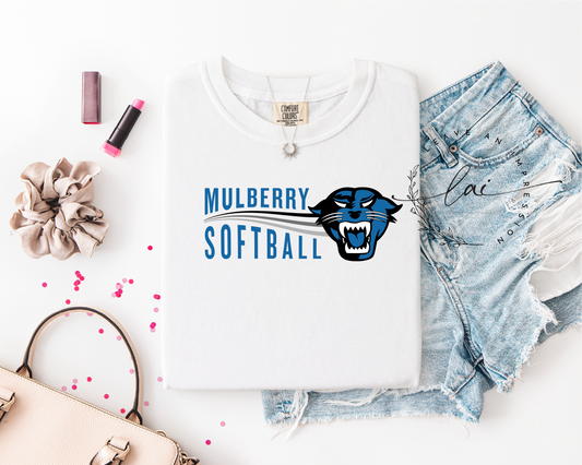 Mulberry Softball-Retro