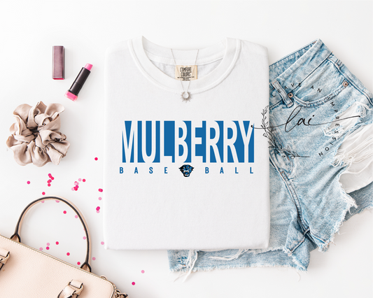 Mulberry Baseball