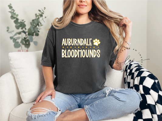 Auburndale Bloodhounds with Paw Print stars
