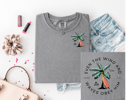 Wind and Waves Obey Him Tee